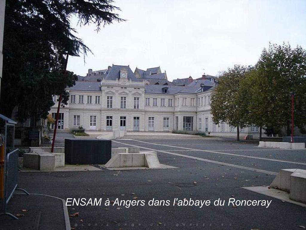 149 ANGERS MAINE ET LOIRE_000025.jpg